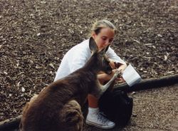 Monika Petrillo Flyabout Movie DVD